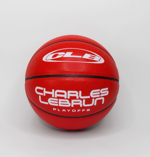 Charles LeBrun x DAAM Basketball